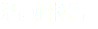 活動報告